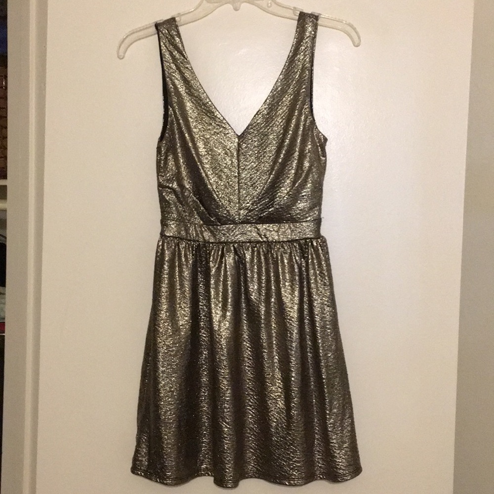 Metallic Holiday Dress for all occasions! ✨